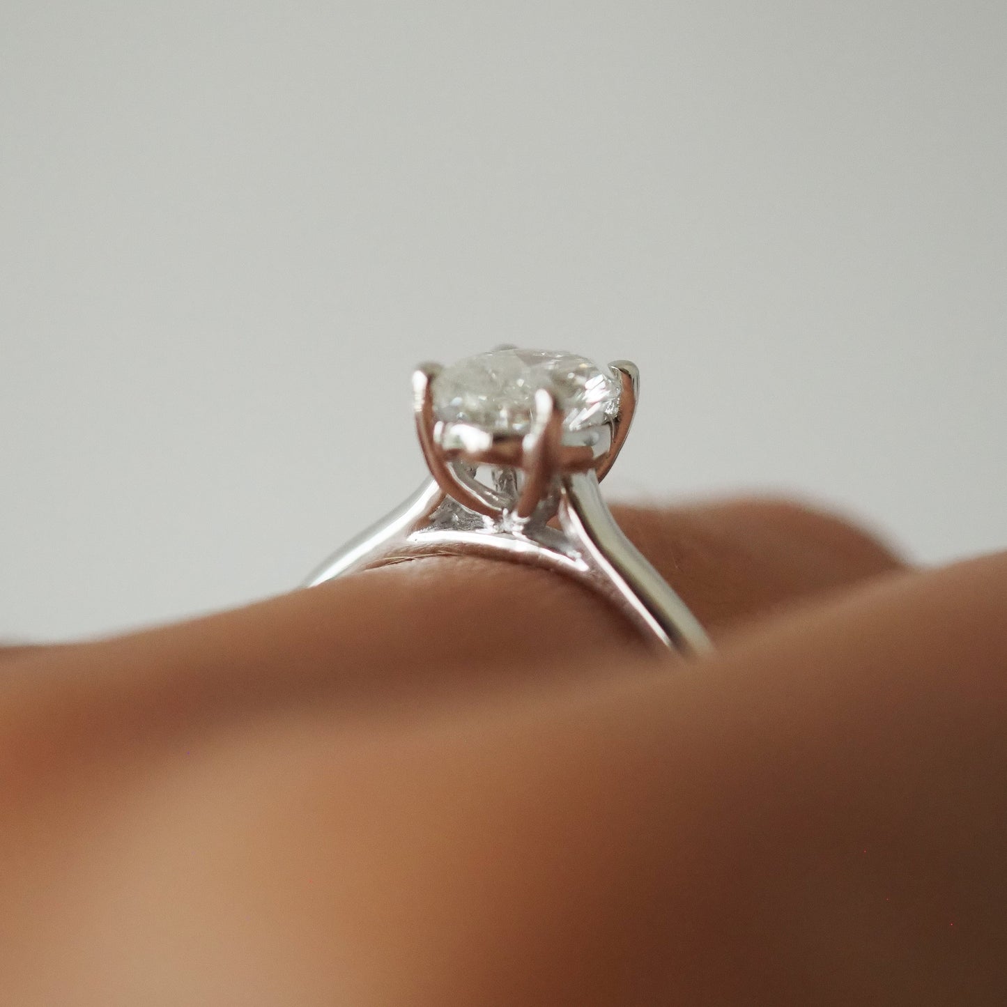Dani Ring