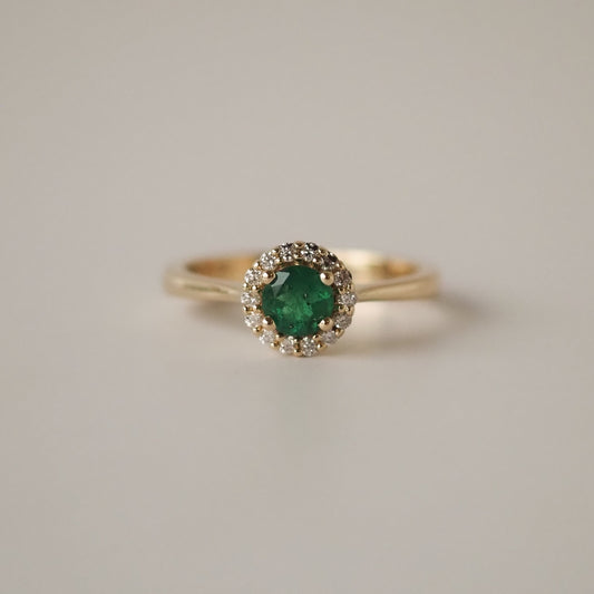 Alejandra Ring