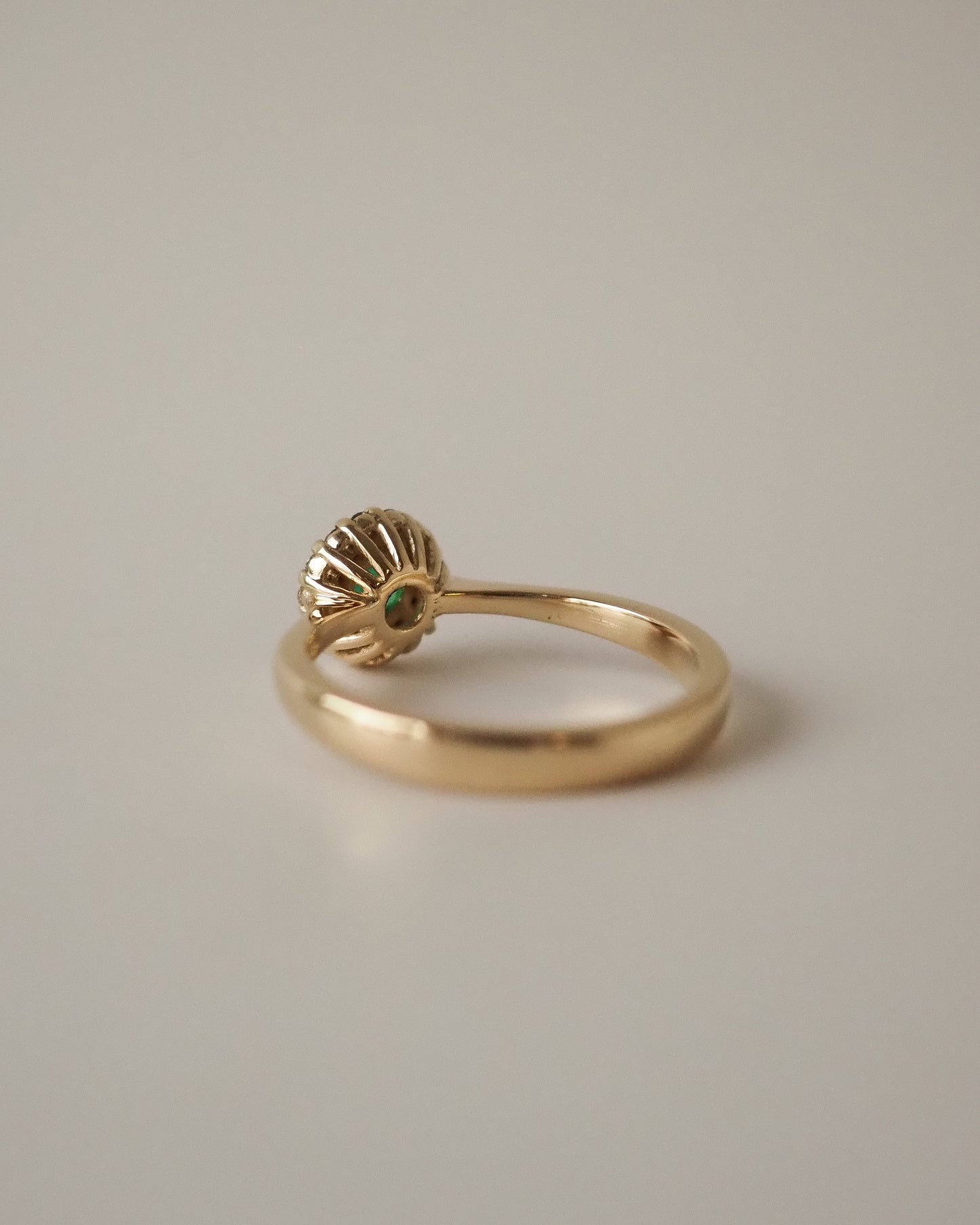 Alejandra Ring