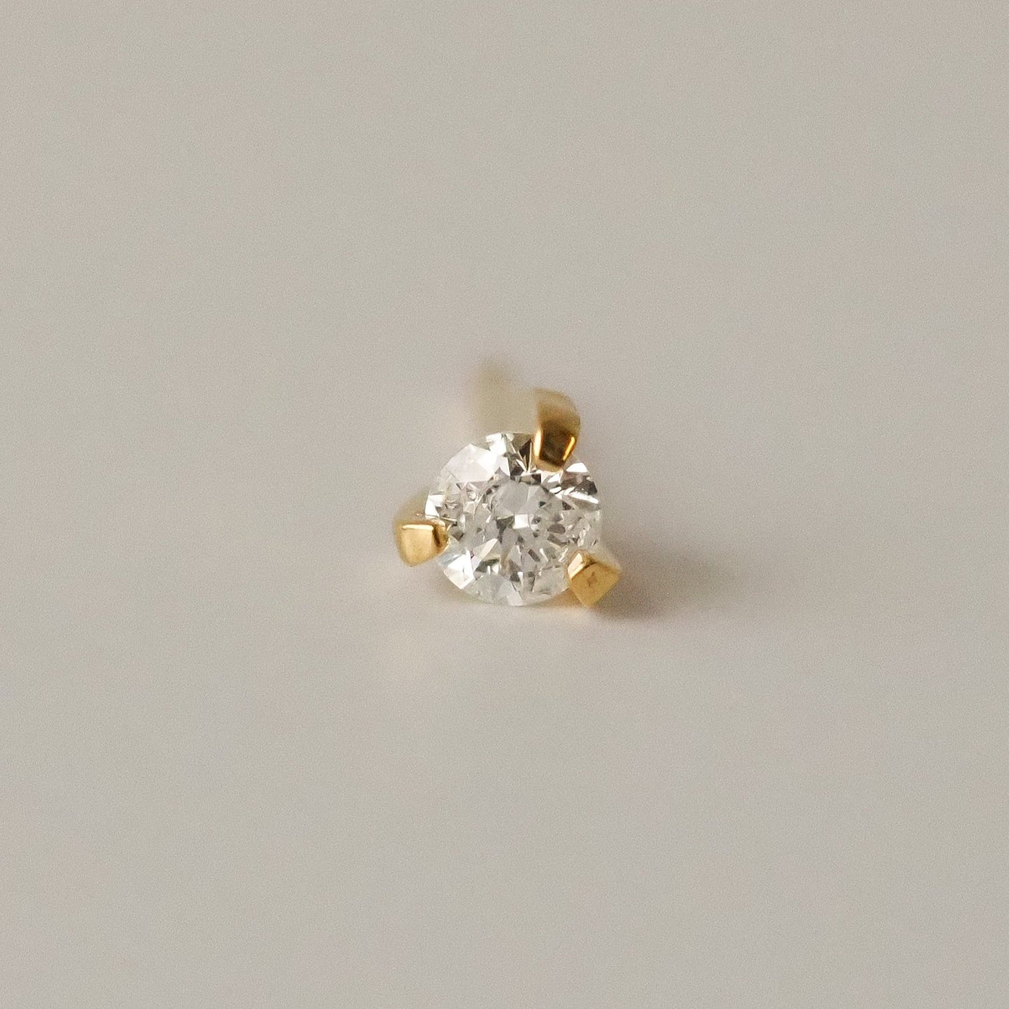 Terez Stud Earrings